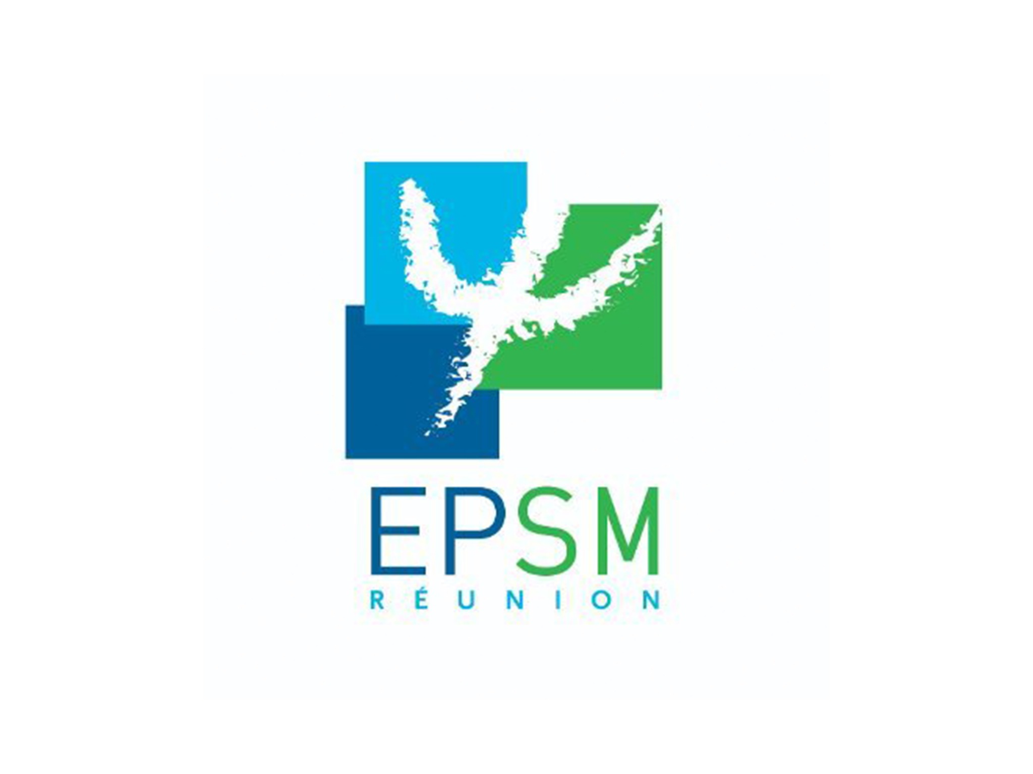 Partenaire : EPSM